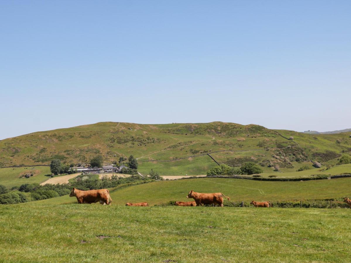 Holly Villa Ulverston Luaran gambar